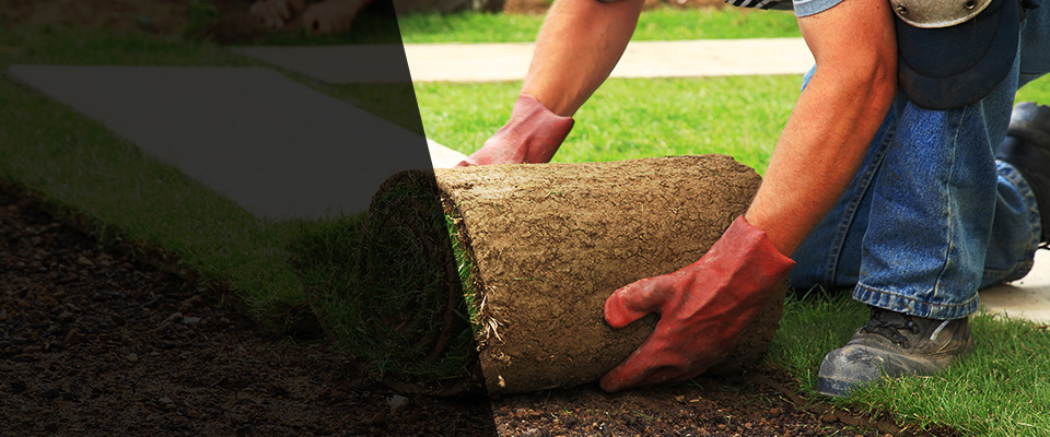 Colquitt Landscapers